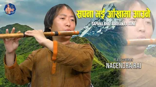 SAPANA BHAI AAKHAMA AAUNE FLUTE COVER BY(Nagendra Rai)||(FILM :DAKSHINA)