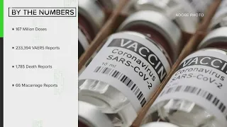VERIFY: Have hundreds of people died from the COVID-19 vaccine?