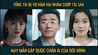 Tổng tài nghìn tỉ bị vợ hãm hại nhằm cướp tài sản, may mắn anh gặp được chân ái của đời mình