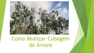 Cubagem de Arvore