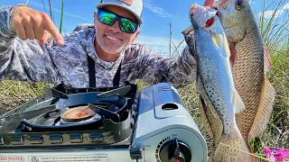 Topwater Action Has EXPLODED! (CATCH & COOK)