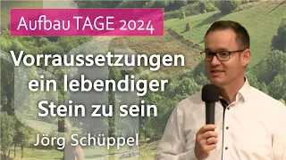 Voraussetzung ein lebendiger Stein zu sein - Jörg Schüppel Aufbautage 2024 FCG Zwickau