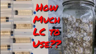 How Much LC to Use? My Ideal Ratio of Liquid Mycelium Culture to Grain for Mushroom Spawn.