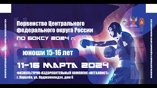 Первенство ЦФО по боксу среди юношей 15-16 лет. Королёв. День 3.