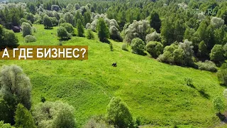 А где бизнес в мясном скотоводстве? Фермер Денис Бахарев