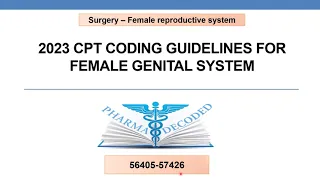 2023 CPT coding for  female genital system  Surgery