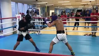 Super Flyweight champion Naoya 'Monster' Inoue sparring a featherweight!