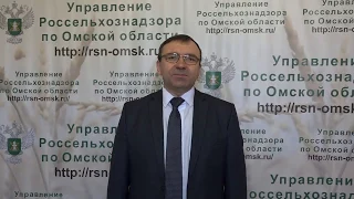 Поздравление Руководителя с 8 марта