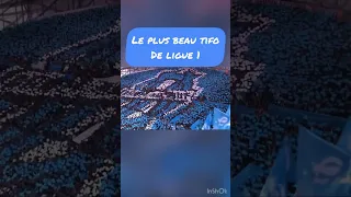 Faut avouer que c’etait une dinguerie ce tifo ! #OM #TeamOM #OMPSG #PSG #LIGUE1 #tifo #ultra