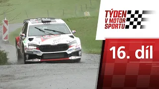 Týden v motorsportu: ERC v Maďarsku, Rallye Šumava Klatovy (16. díl)