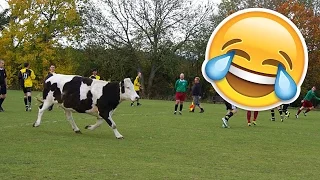 Top 100 ● Best football fails ● 2015