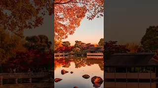 Peaceful Autumn Images