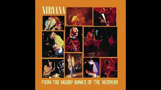 Nirvana - From The Muddy Banks Of The Wishkah - Vinyl bonus material [HD]