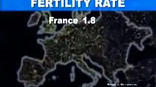 Fertility rates