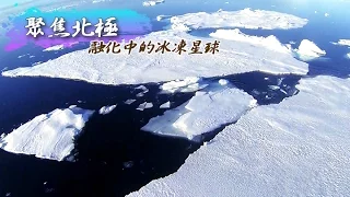 融化中的冰凍星球 - 聚焦北極《聚焦全世界》第25期
