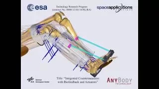 [SOLEUS] Musculoskeletal Simulation of Countermeasure Exercise in Space