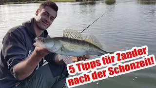 5 Tipps zum ZANDERANGELN direkt nach der Schonzeit! | So startest Du!