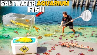 NETTING Aquarium FISH For My SALTWATER PONDS!!