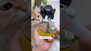 Opening Cat’s Wet Food Became Easier! 😻