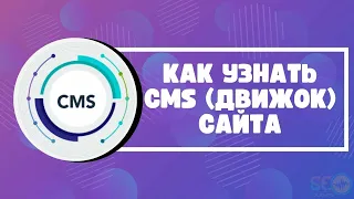 Как узнать CMS (движок) сайта