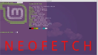 Neofetch - терминальная утилита для вывода информации о системе.