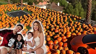 WELCOME TO THE ACE FAMILY PUMPKIN PATCH!!! **INSANE**