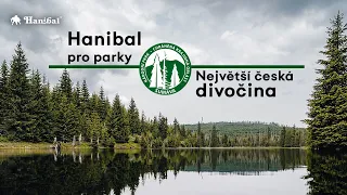 Podcast Pro Parky | Šumava: Největší česká divočina