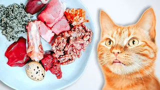 How To Raw Feed Your Cat (Ultimate Beginner's Guide)