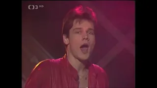 Pavel Horňák - Stárneme (1989)