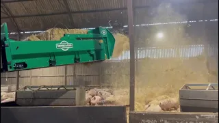 Bedding up pigs with our Spread-a-bale HR Maxi!