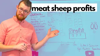 Are Meat Sheep Profitable? Small Scale Sheep Planning