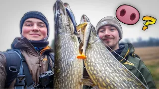 FISHING SMALL RIVER THAT'S BEEN CLOSED FOR 3 MONTHS (Crazy Pike Fishing) | Team Galant