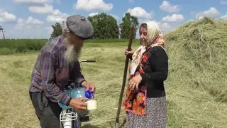 На покосе у Любы   Минаевой.   20. 07. 2018. Снимал Владимир Пащенко