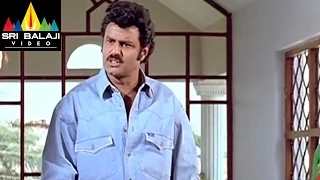Pavitra Prema Movie Balakrishna Action Scene | Balakrishna, Laila | Sri Balaji Video