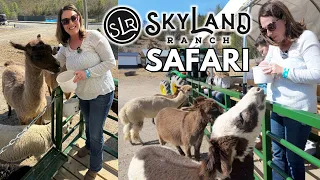 The Safari Hayride at SkyLand Ranch in Sevierville Tennessee