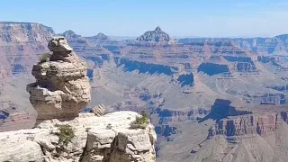 Утёнок или крокодил Гена? Гранд-Каньон — один из глубочайших каньонов в мире.