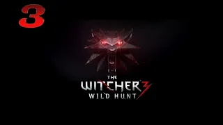 The Witcher 3: Wild Hunt, продолжаем первое прохождение Ведьмака
