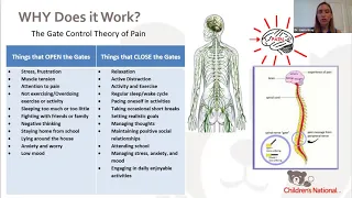 Behavioral Pain Medicine: Alternatives to Opioids