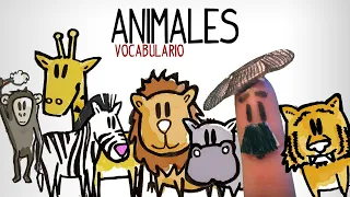 Vocabulary animals in Spanish, name of jungle animals in Spanish