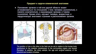 Лекция №1. Введение. Основы топографической анатомии и оперативной хирургии.