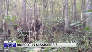 WATCH: Bigfoot sighting in Mississippi?