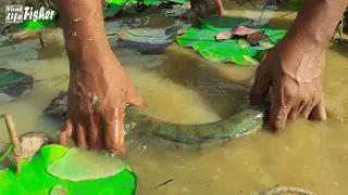 SUPER TOP 3 - Amazing Dry Season Fishing! Searching Finding Fish in Dry Land