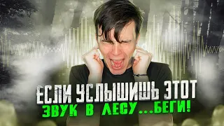 ЕСЛИ УСЛЫШИШЬ ЭТО - БЕГИ...