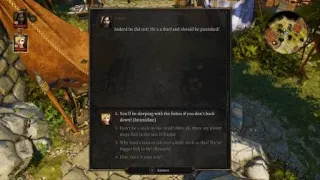 Divinity:Original Sin AI decisions