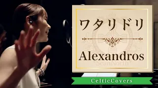 【癒し系】ワタリドリ / Alexandros  (フルVer.)  Cover