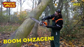 DIKKE BOOM OMZAGEN achter in het bos! #612