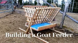 Building a goat feeder that actually works?!