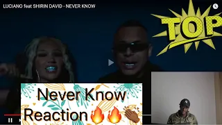 LUCIANO feat SHIRIN DAVID - NEVER KNOW (Reaction🇩🇪) King of Adlib🙌🏾
