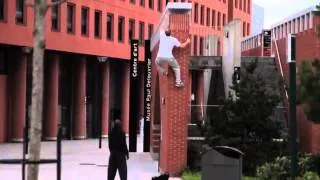 Animals Vs Humans|Parkour & Freeruning