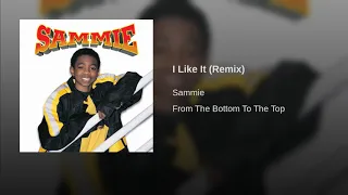 Sammie - I Like It (Remix)